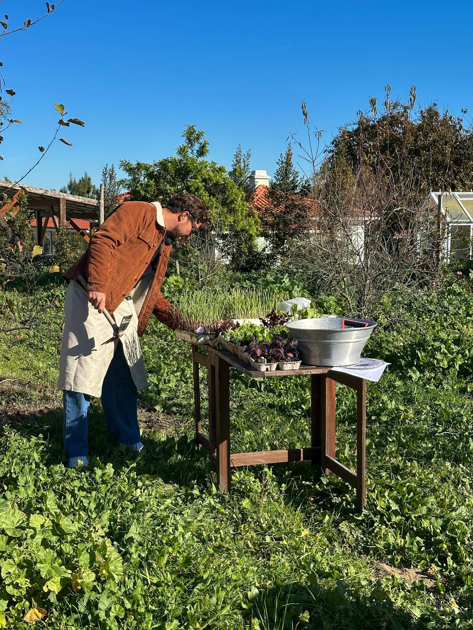 Avental Alma de Chef II
